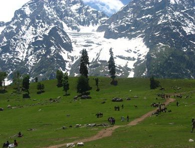 Kashmir V