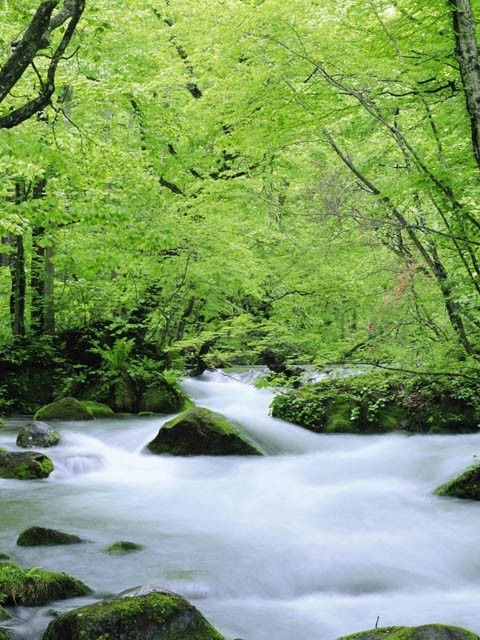 NatUre w