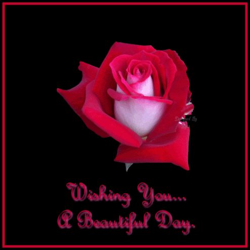 Wishing U a beautifu