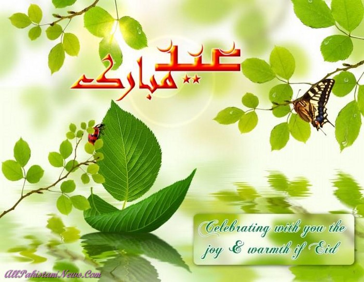 EiD image