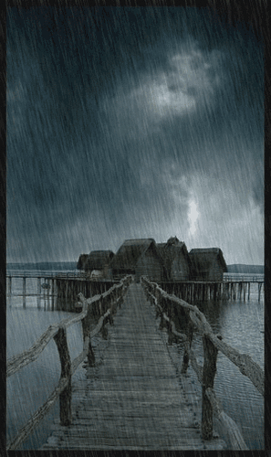 Rain
