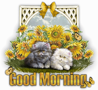 g00d m0rning