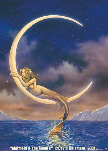Mermaid & The Moon 2