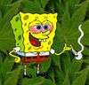 sToned sp