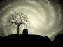 Tree sky