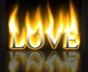 love