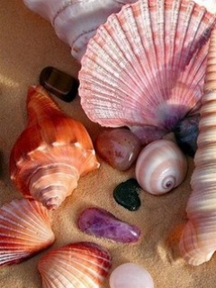 Beach treasures