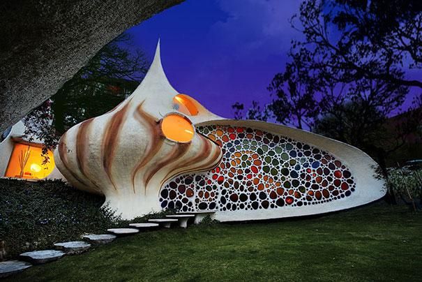 Nautilus 