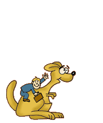 Australia Kangaroo