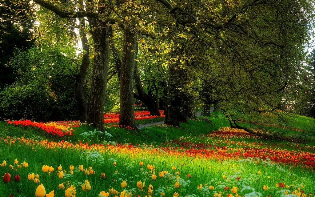 Nature