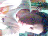 Velg