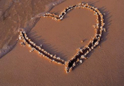 Sparkle Heart In Sand
