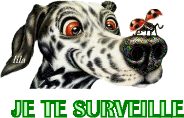 Im Watching You (Fre