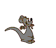 Australia Kangaroo
