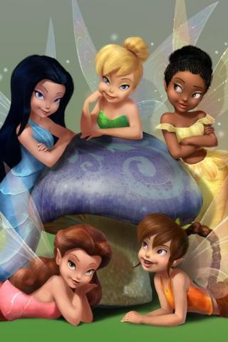 Fairy