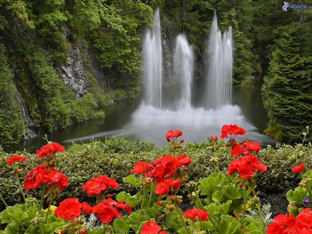Nature
