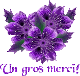 A Big Thanks (French