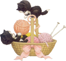 Cat Knitt