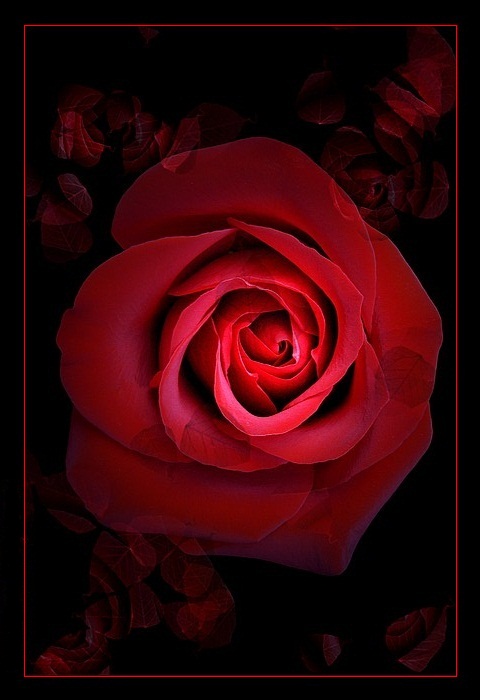 Blood Red