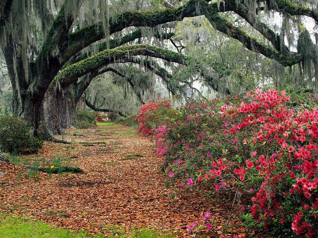 Nature