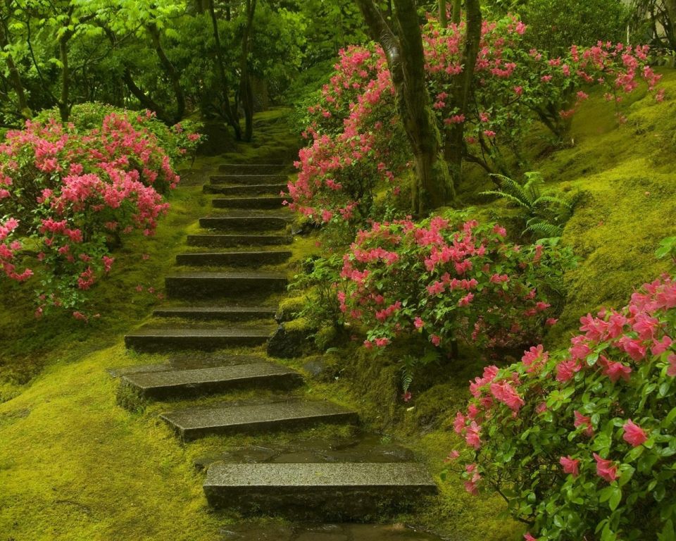 Nature