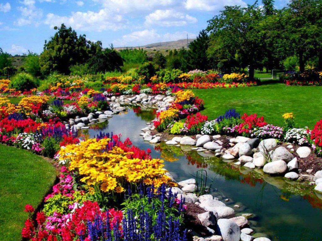 Nature