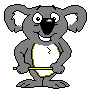 Australia Koala