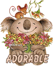 Australia Koala & Mo