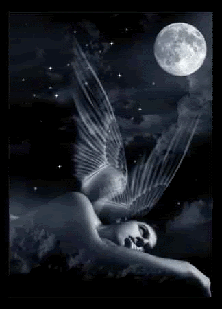 Fallen Angel In Moonlight