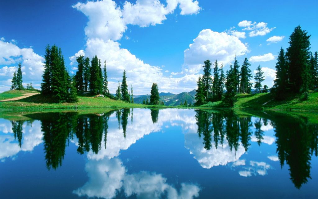 Nature