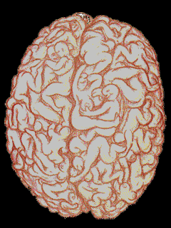 Living Brain