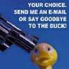 Duck