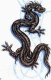 Lizard