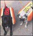 Hot dogs
