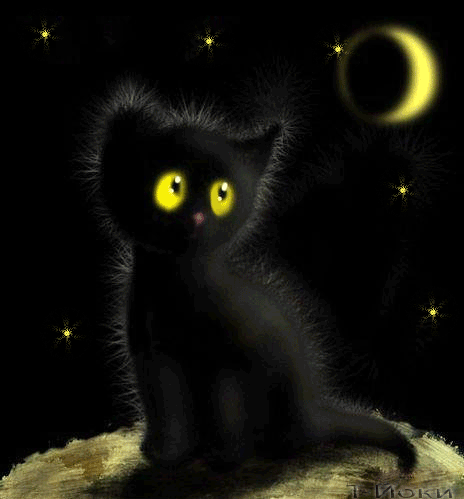 Black Cat