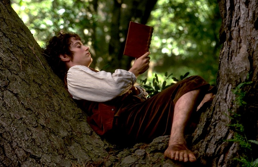 Frodo Reading
