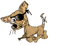Pirate Doggy