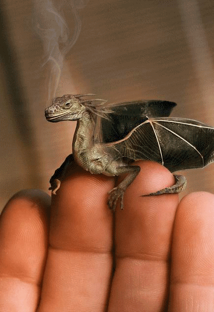 Tiny 3D Dragon