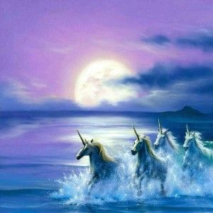 Unicorn S