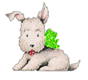 Doggy4