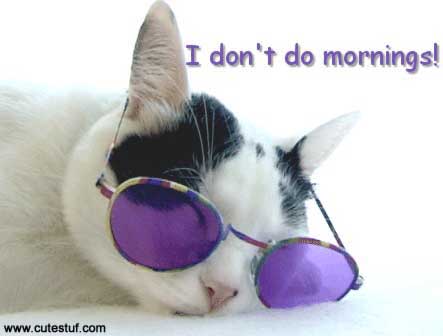 I Dont Do