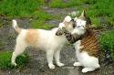 funny pic