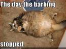 funny pic