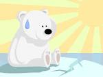 polar bea