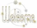 welcome l