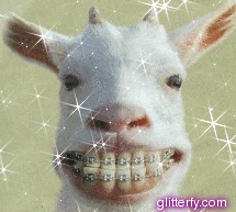 Goat smile