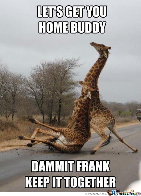 Drunk Giraffe