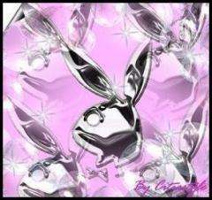 Playboy3 wallpaper