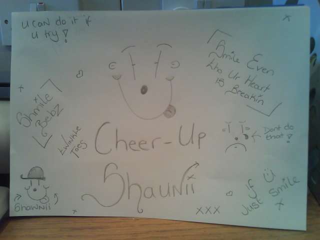 4 shaun