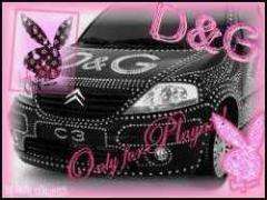 Playboy v d&g wallpaper